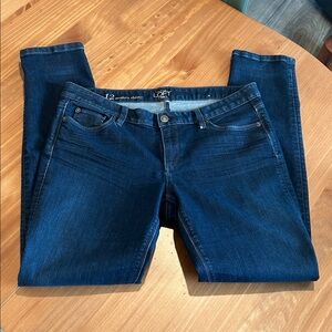 Ann Taylor Loft Modern Skinny Jeans Size 12